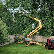 Cherokee, IA  Tree Services Company